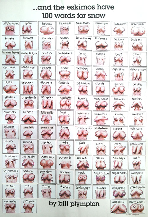 100 Breasts  Plymptoons Store